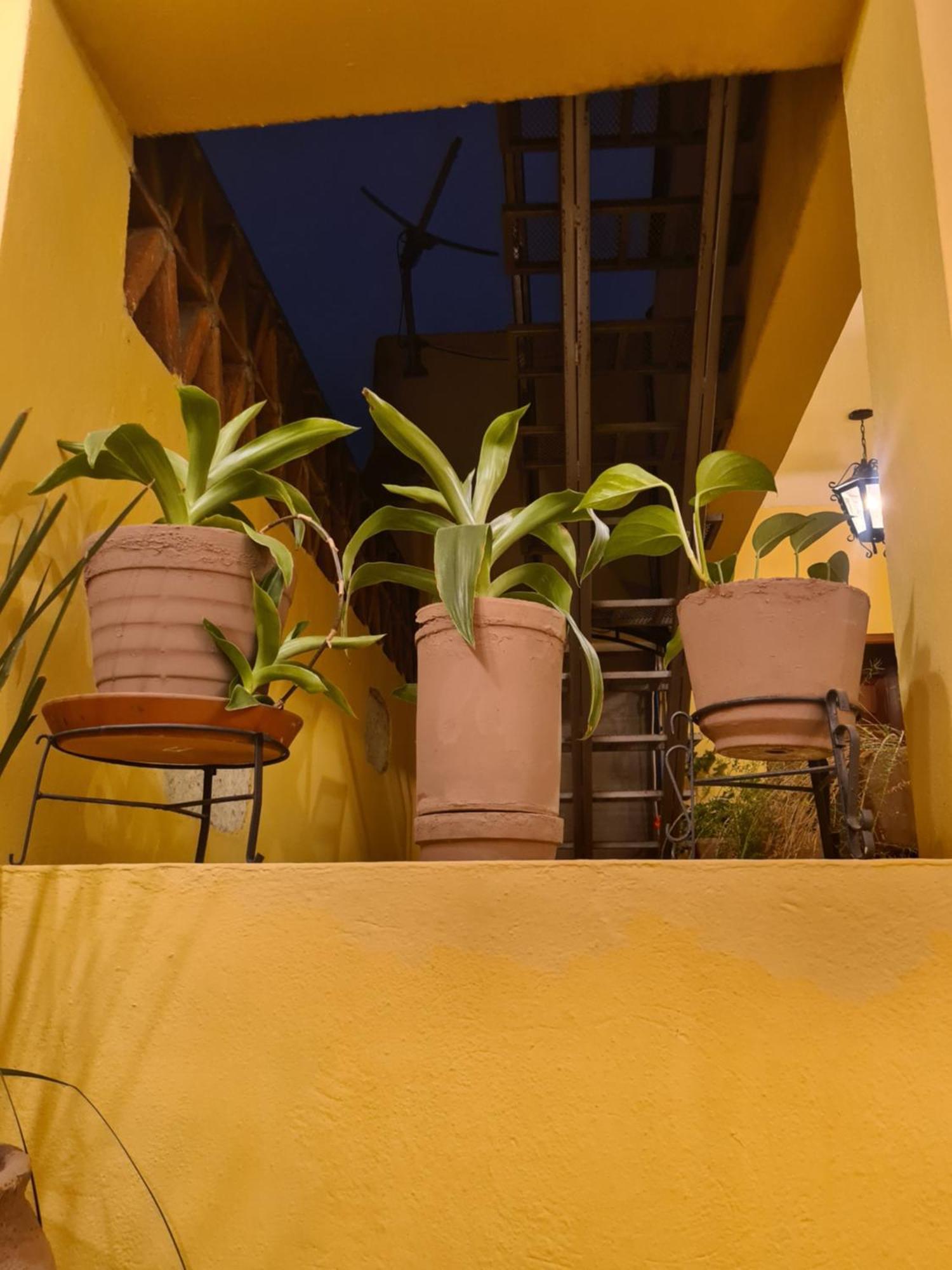 Hotel Casa Divina Oaxaca Экстерьер фото